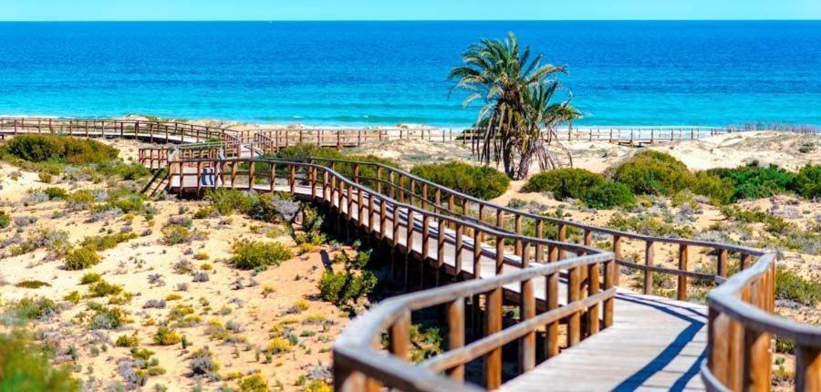 Apartamento En El Centro De Elche Con Terraza La Alborada Экстерьер фото
